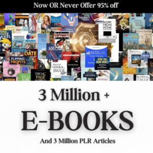 3 Million+ eBooks Collection + 3 Million PLR Articles Bonus Complete Digital Library with Reseller Rights